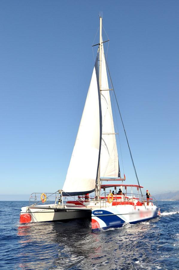 white paradise tenerife catamaran whale and dolphine listening tour