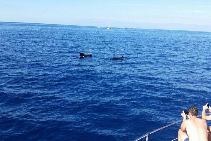 Boat Charter in Tenerife with Sailing Boat Galatea - 433  