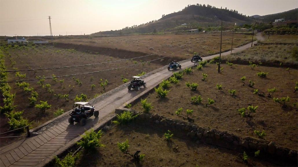 Buggy-Expedition-Tenerife 45