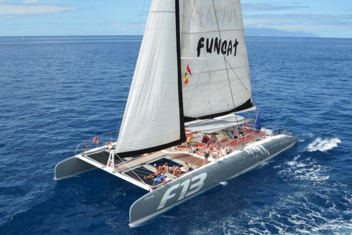 Tour de 3 heures en catamaran à Tenerife avec Freebird - 776  