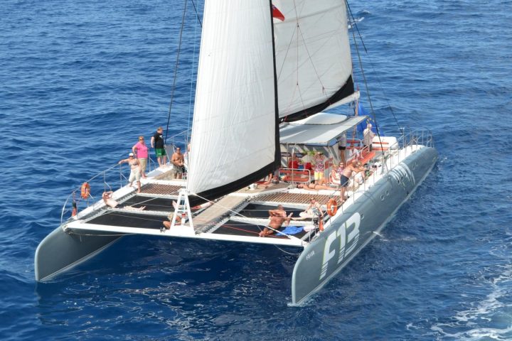 Catamaran Tour in Tenerife to Los Gigantes with Freebird - 788  