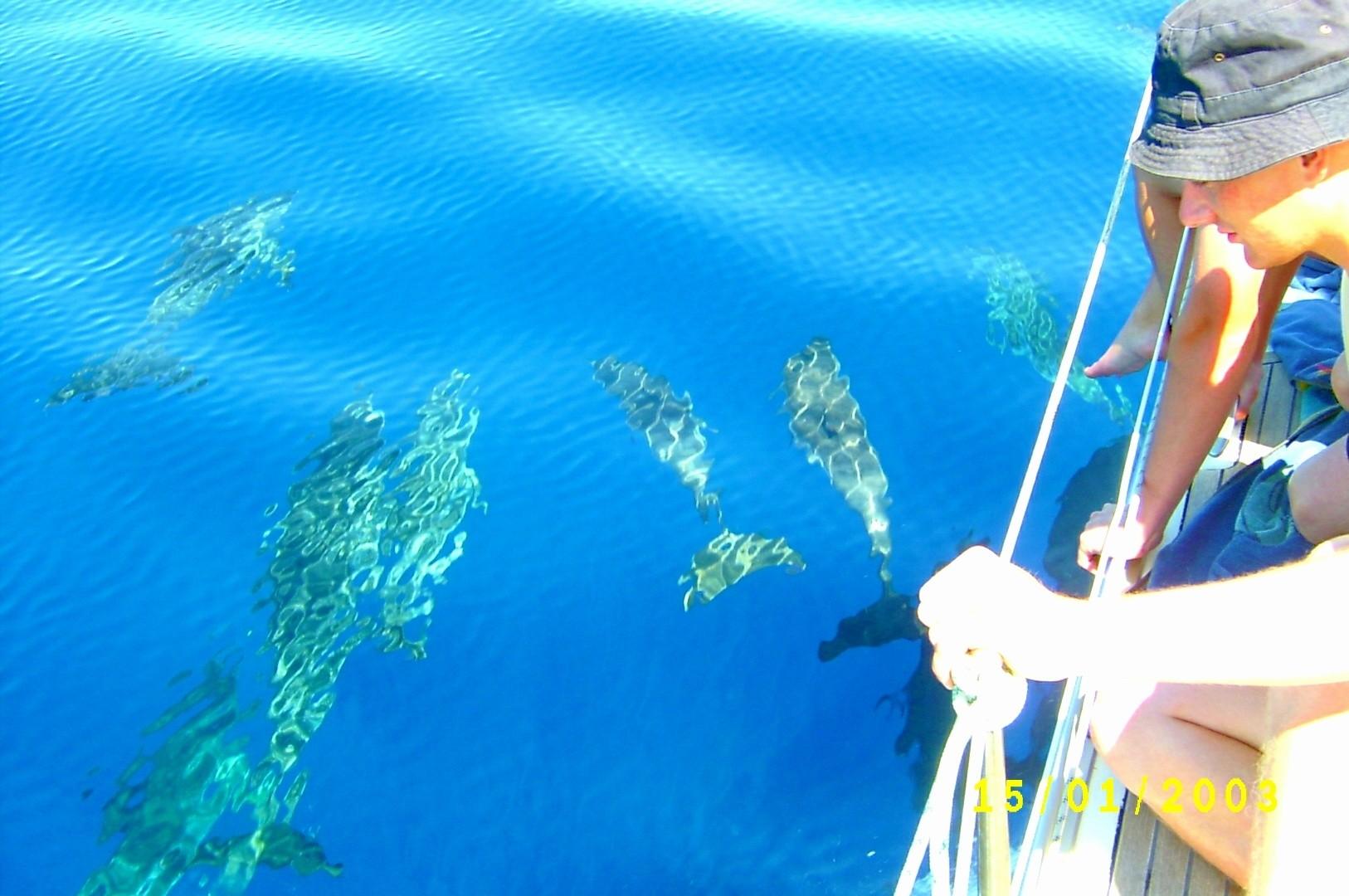 tenerife sailing Boat Charter Kosamui