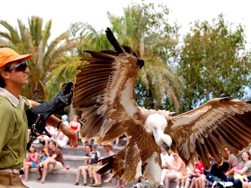 Jungle Park Tenerife - activities for children