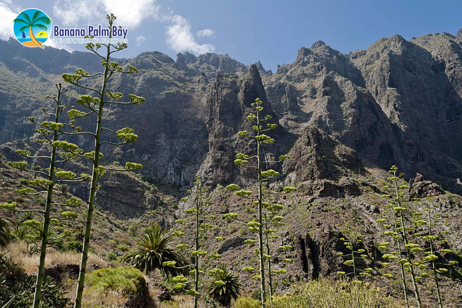 Masca Village - Pueblo de Masca - Tenerife (10)