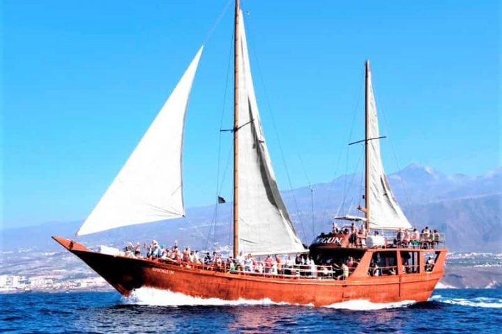 Neptuno Tenerife Boat Trip to Los Gigantes form North and South (10)