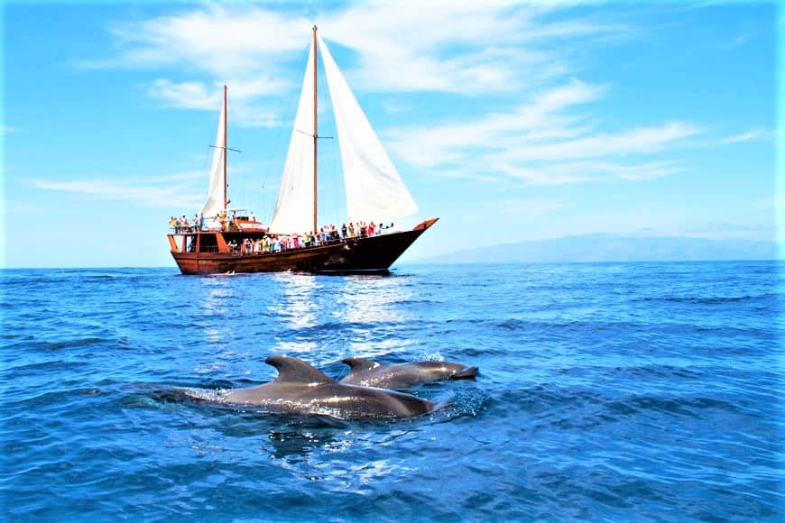 Neptuno Tenerife Boat Trip to Los Gigantes form North and South (3)