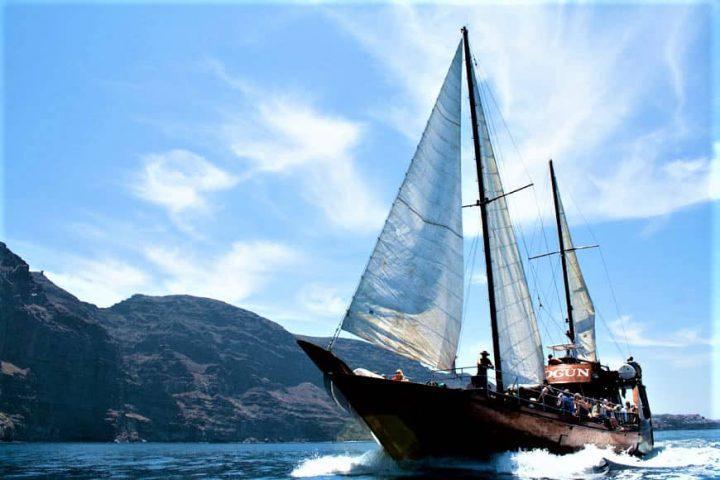 Tenerife Boat Trip to Los Gigantes with Shogun - 7267  