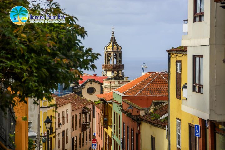 Private Tour ab Santa Cruz de Tenerife für 20 Teilnehmer - 991  