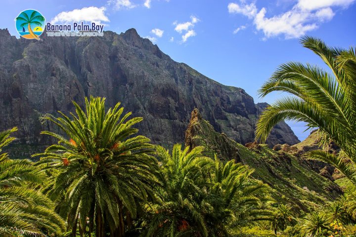 Tenerife Senderismo Cañón de Masca - 1041  