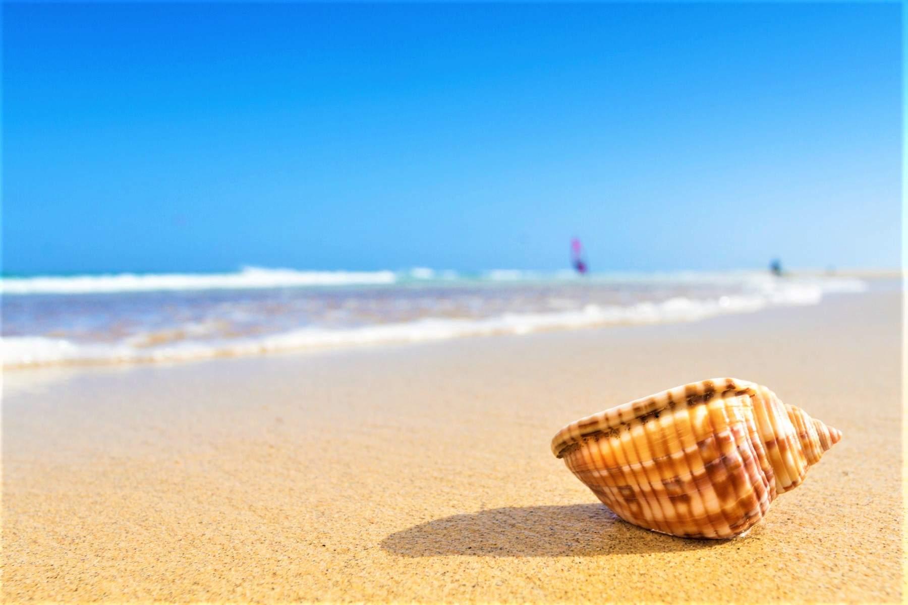 Playa de Jandia Beach - Fuerteventura