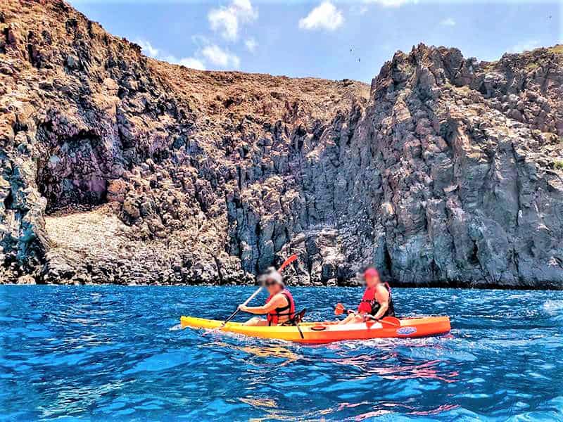 Safari with Kayak in Tenerife South (1)