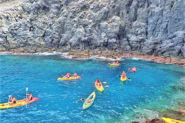 Safari Kayak Tour en Tenerife Sur - 11290  