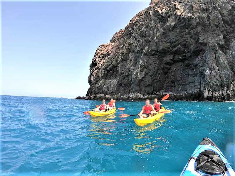 Safari with Kayak in Tenerife South (1)