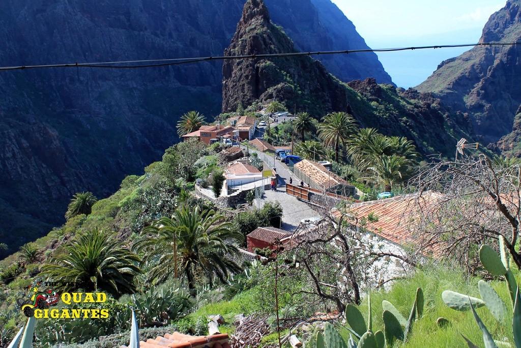 Tenerife Quad Bike Safari to Tenerife Forest and Masca (1)