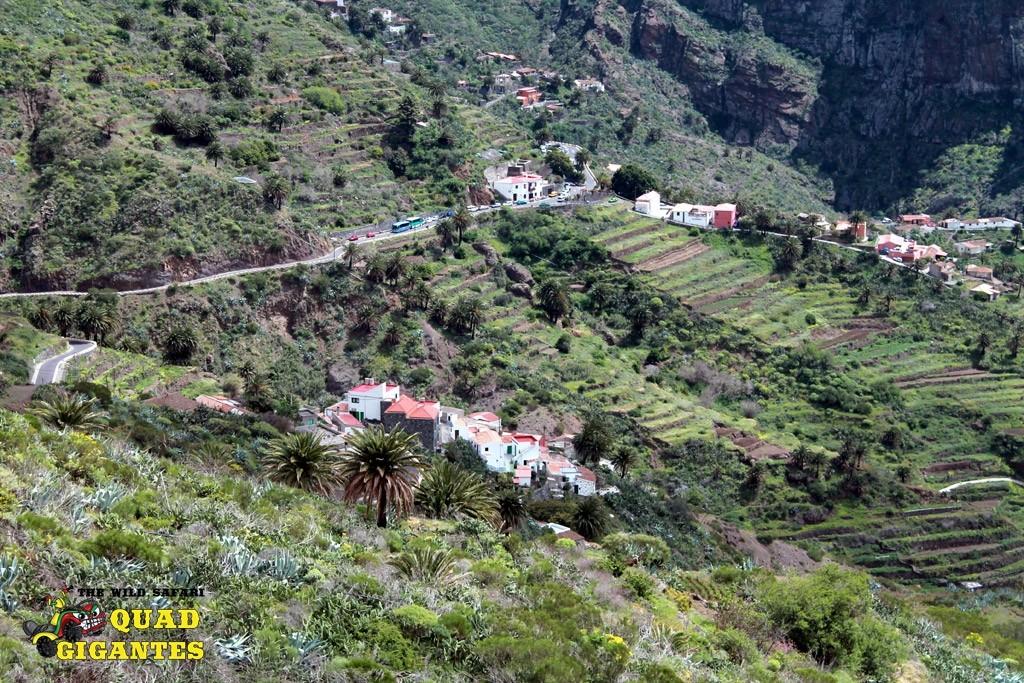 Tenerife Quad Bike Safari to Tenerife Forest and Masca (1)