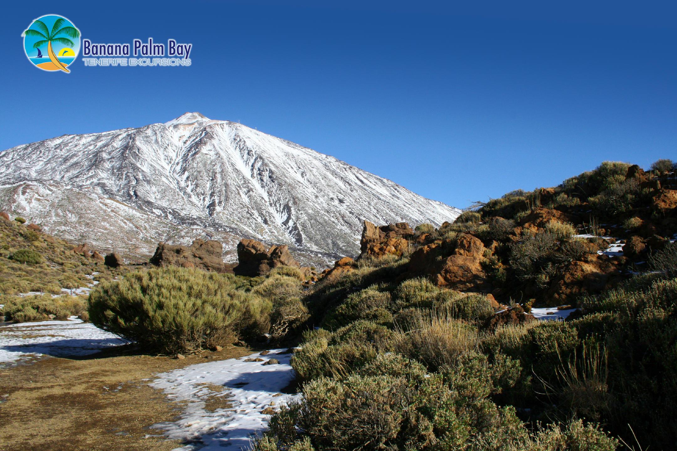 Tenerife: Holidays in Winter