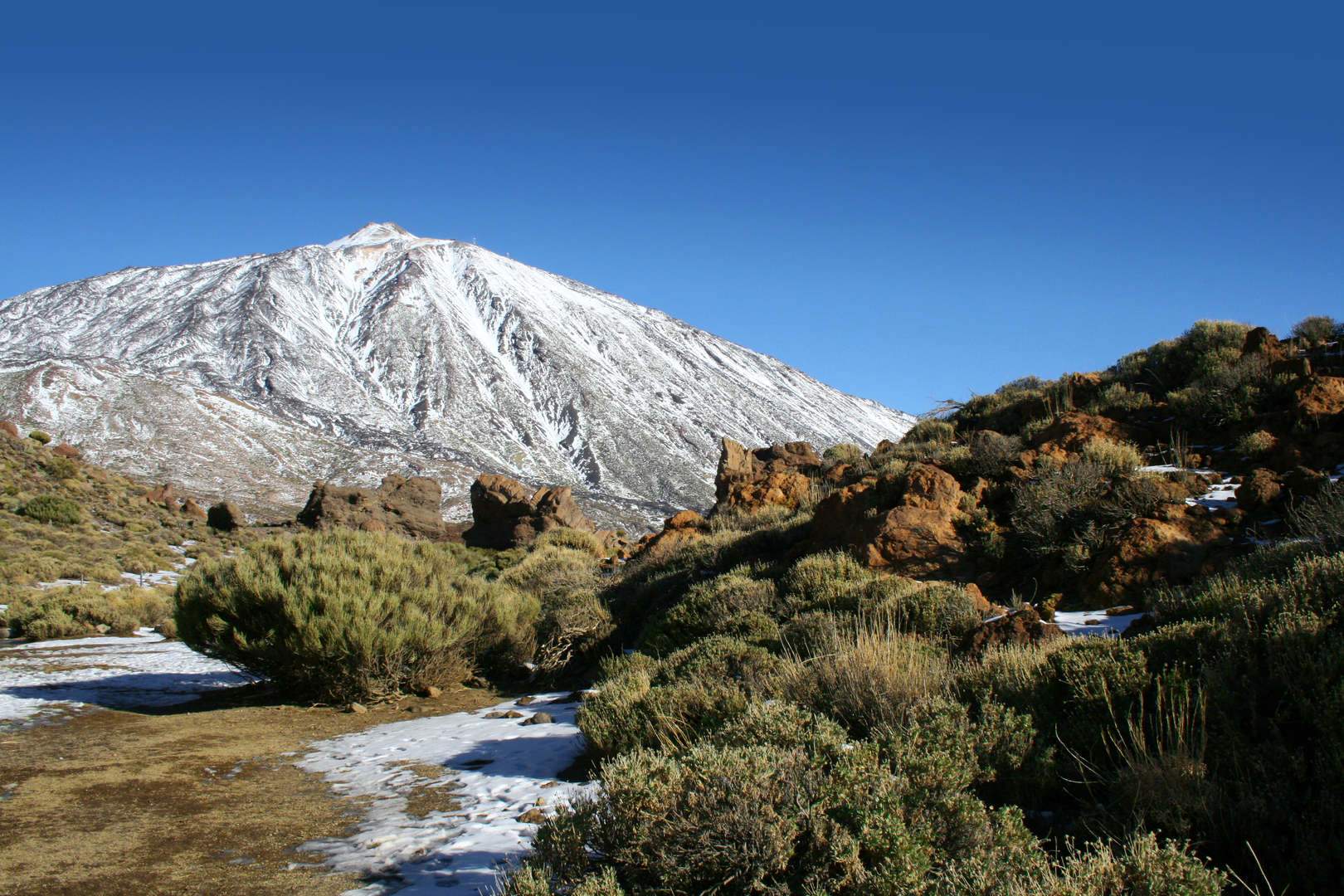 Volcan Teide - Teide National Parque, bus trip with transport from Costa Adeje