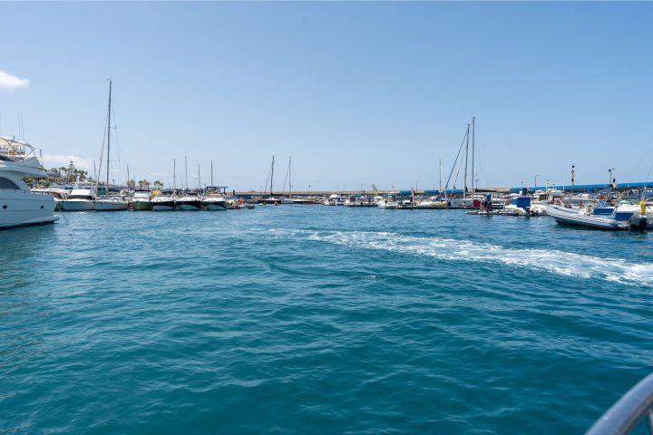 Discover Tenerife with the Bellamar Boat Charter - 27831  