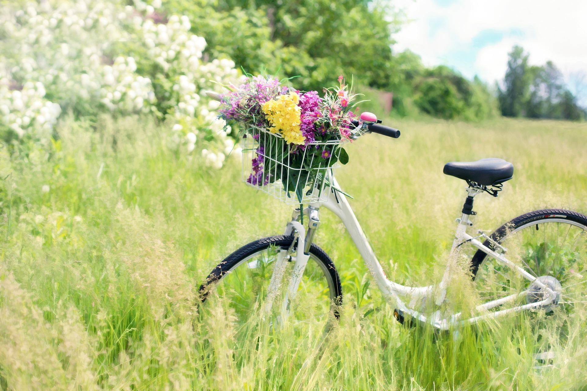 bicycle-tenerife