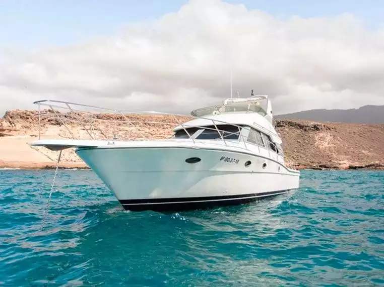 boat charter tenerife 11