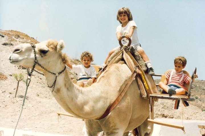 camel park in tenerife south