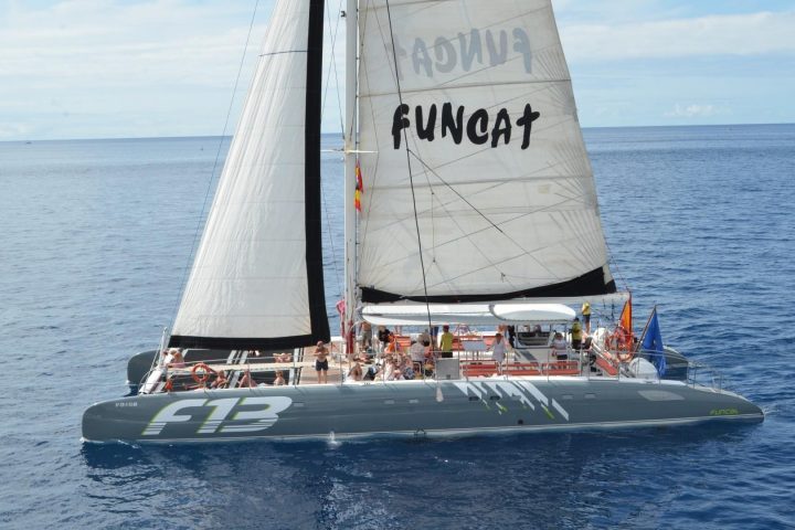 Tour de 3 heures en catamaran à Tenerife avec Freebird - 777  