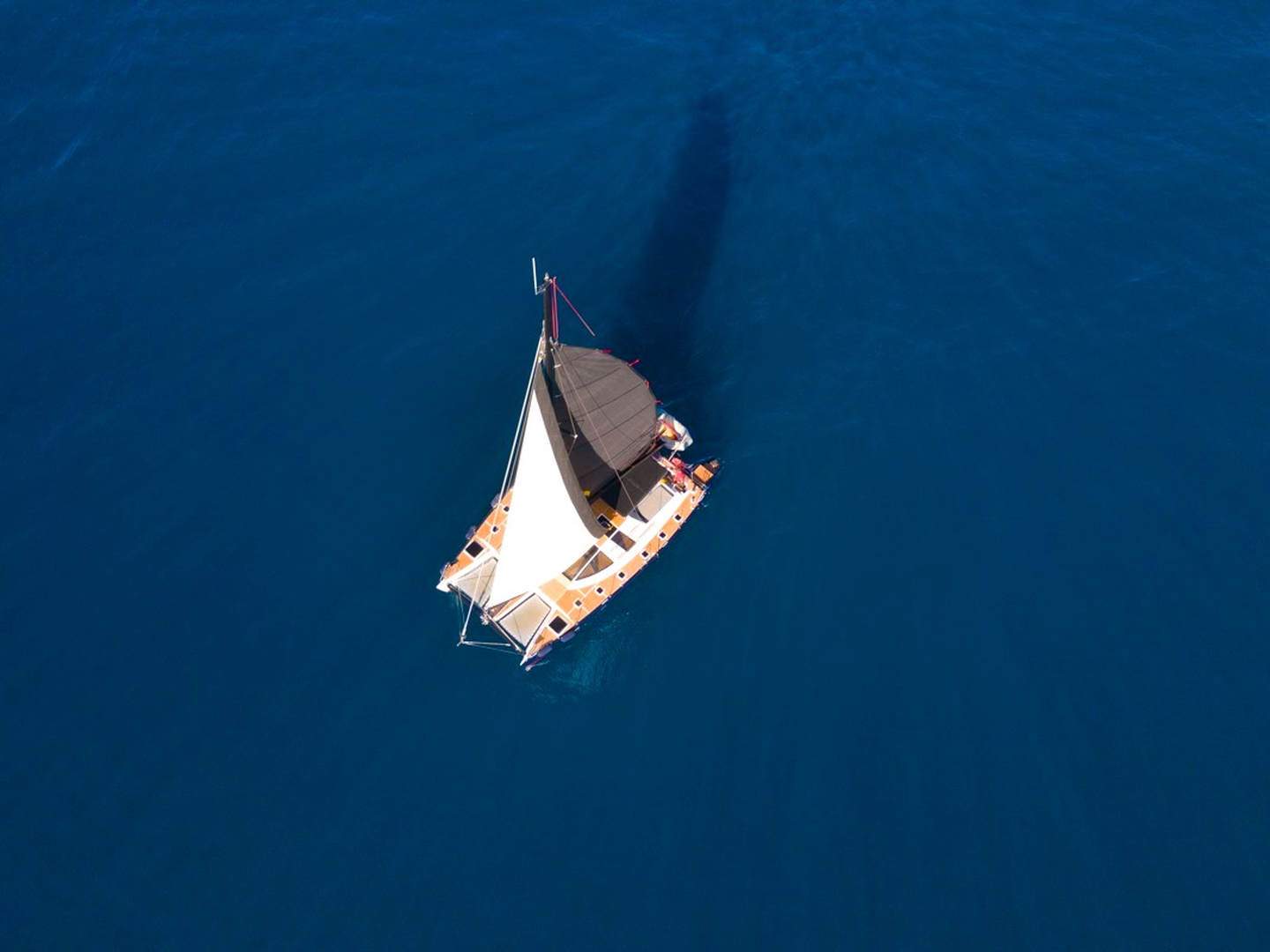 catamaran tour in tenerife private and shared (9).min