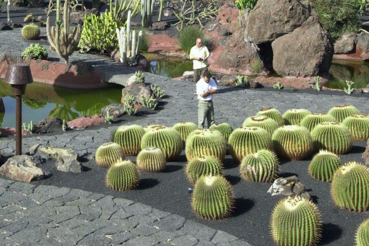 jardin de cactus lanzarote