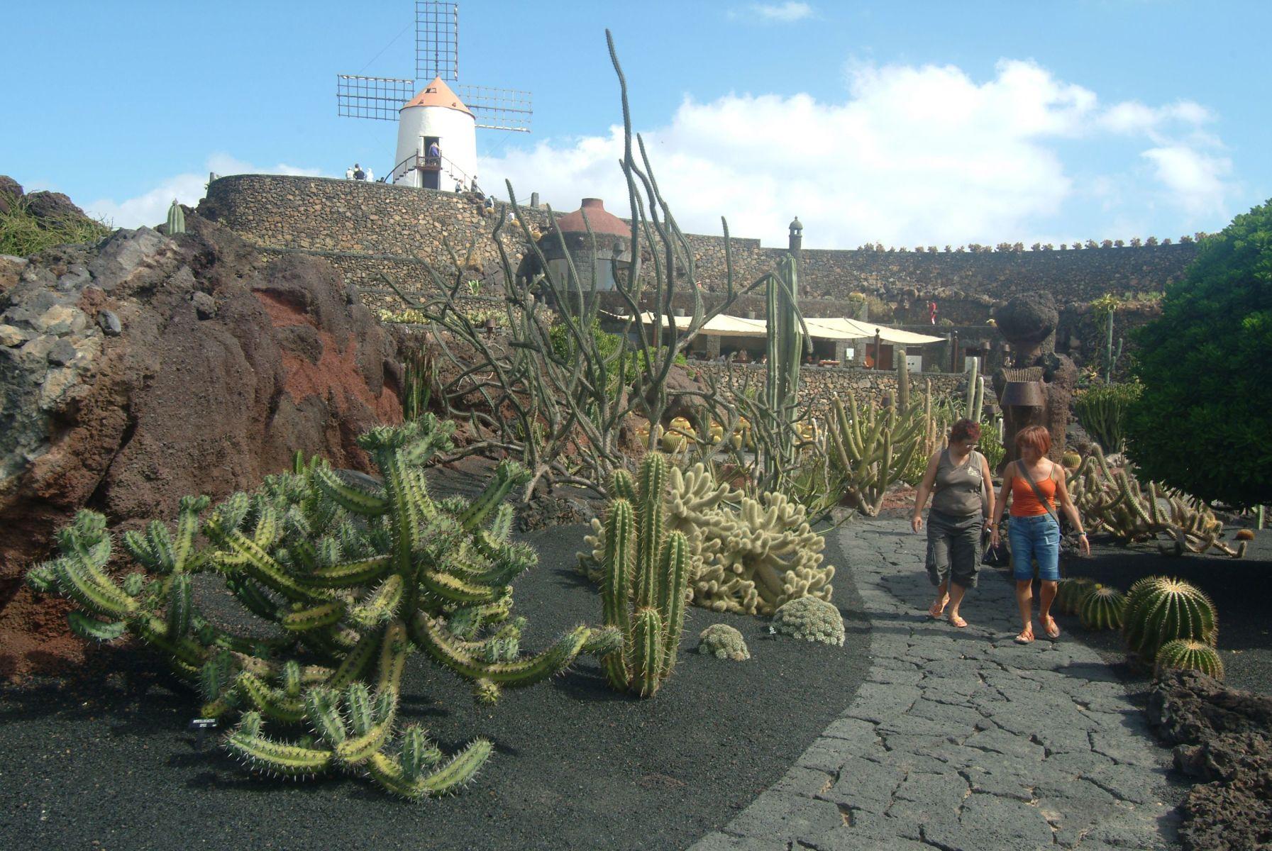 jardin de cactus lanzarote 2