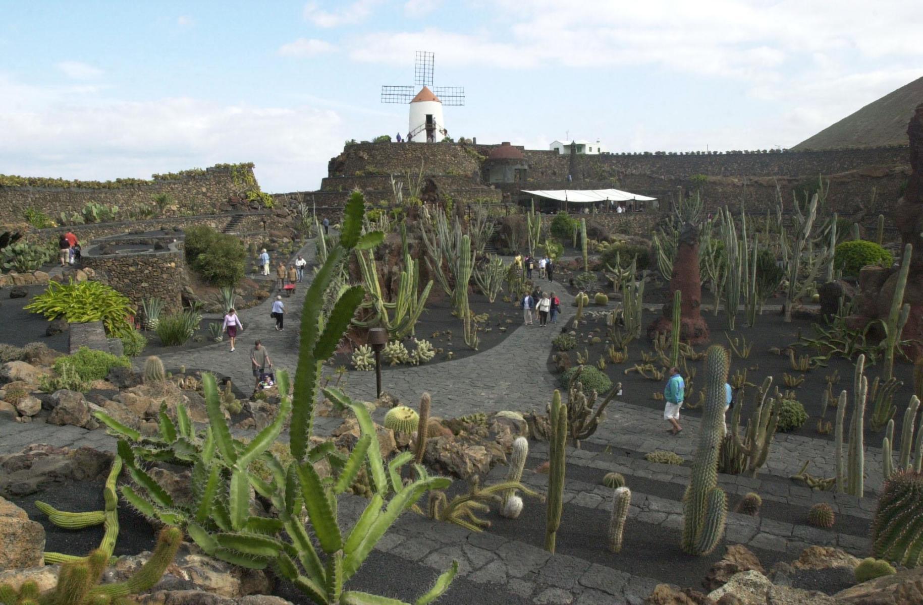 jardin de cactus lanzarote 3