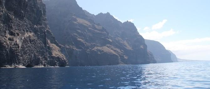 2,5 Hours Jet Ski Safari to Los Gigantes - 1104  