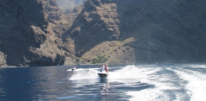 2,5 Hours Jet Ski Safari to Los Gigantes - 1107  