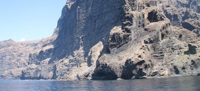 2,5 Hours Jet Ski Safari to Los Gigantes - 1109  