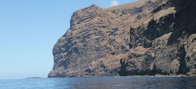 2,5 Hours Jet Ski Safari to Los Gigantes - 1110  