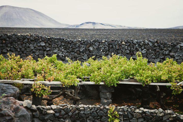 la geria lanzarote (17)-min