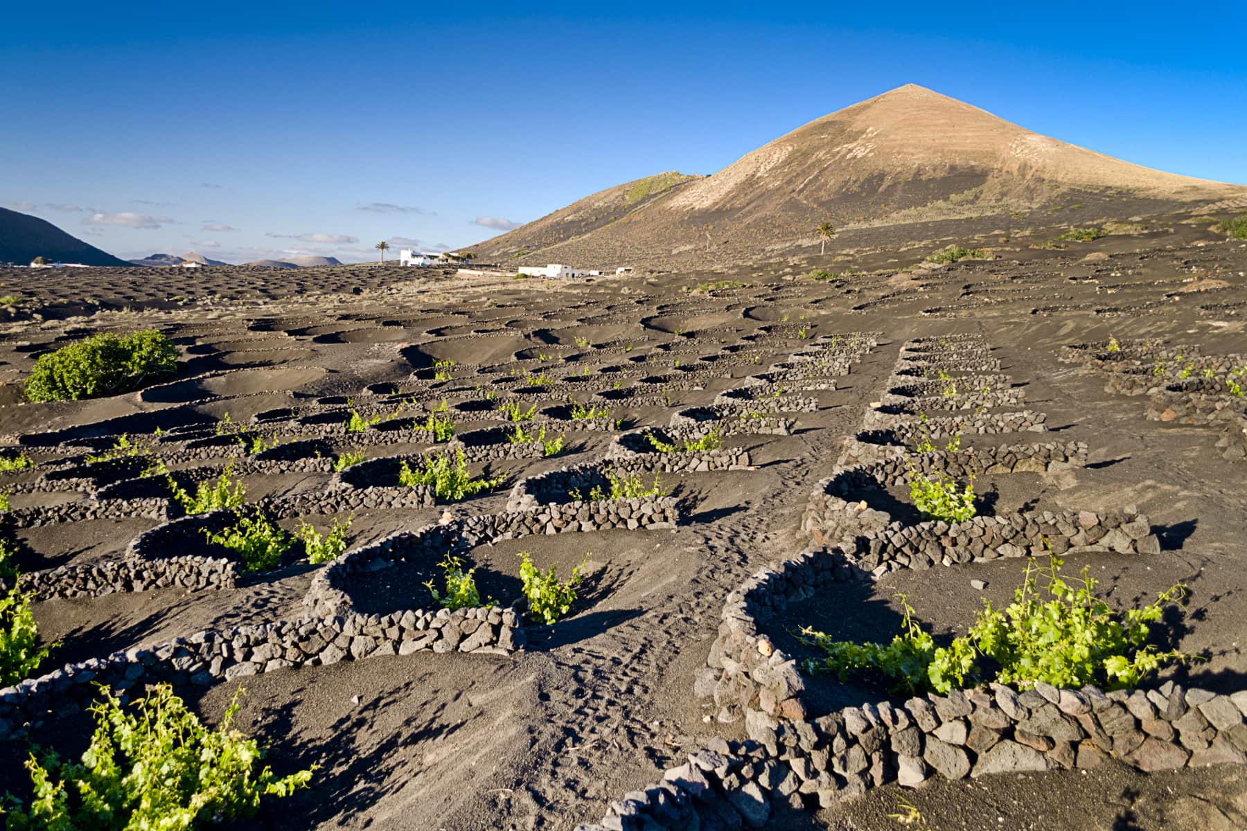 la geria lanzarote (8)-min