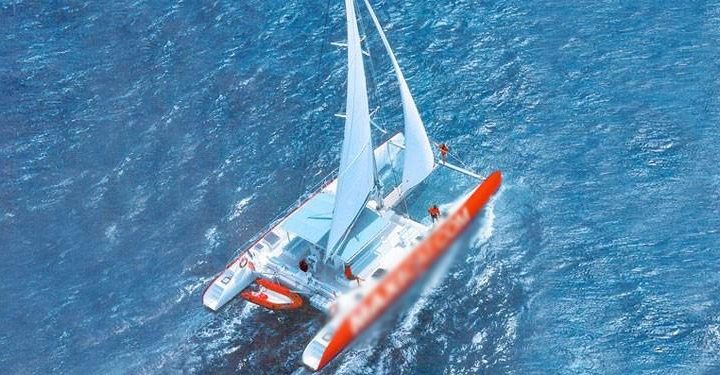 Catamaran Tour in Tenerife South with MAXICAT - 809  