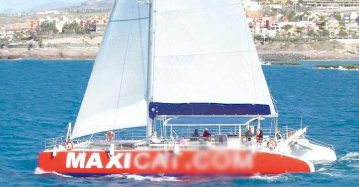 Catamaran Tour in Tenerife South with MAXICAT - 811  