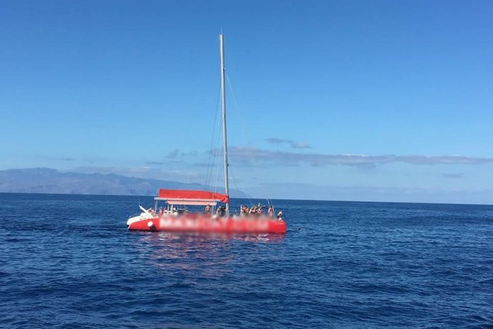 Catamaran Tour in Tenerife South with MAXICAT - 812  