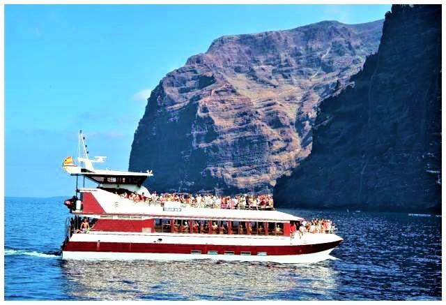 royal delfin tenerife los gigantes (59)