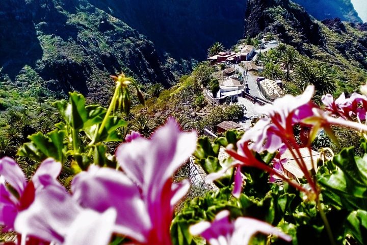 Tenerife Island Tour Teide – Masca - 954  