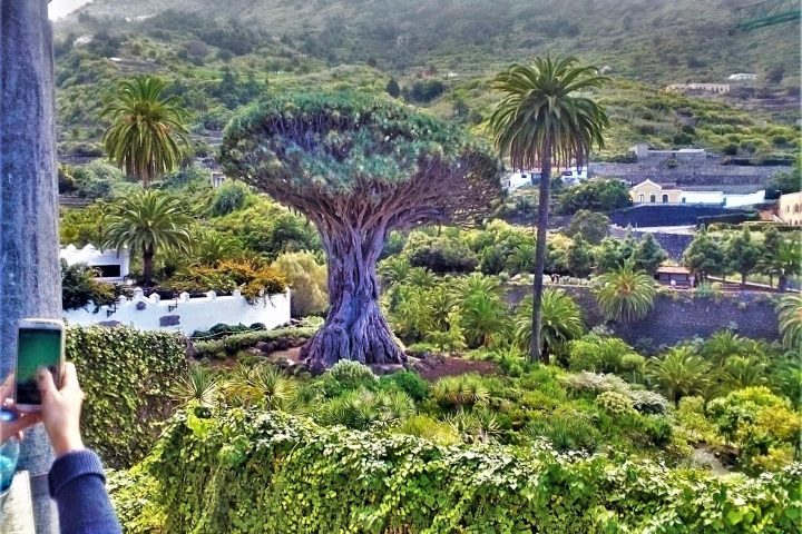 Tenerife Island Tour Teide – Masca - 956  