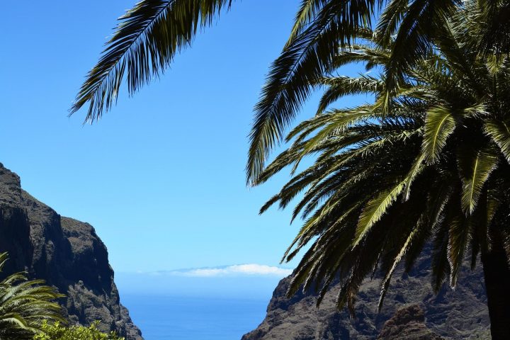 things to do in tenerife